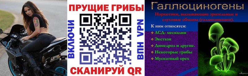 МЕГА как войти  Берёзовка  Псилоцибиновые грибы Psilocybe 